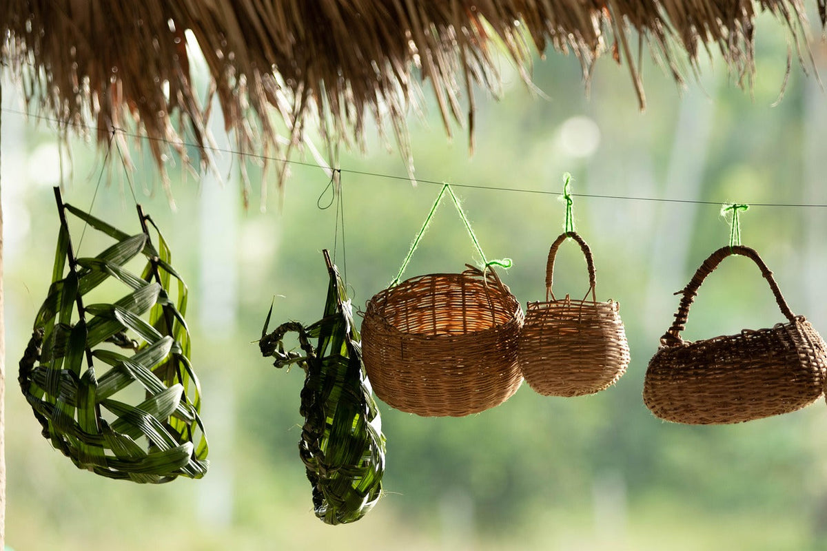 Indigenous Cultures