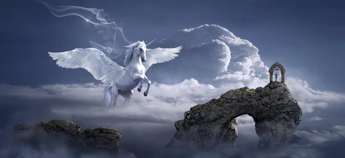 Fantasy