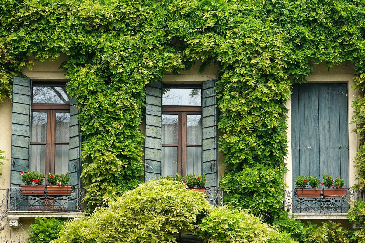Architecture and Sustainable Home