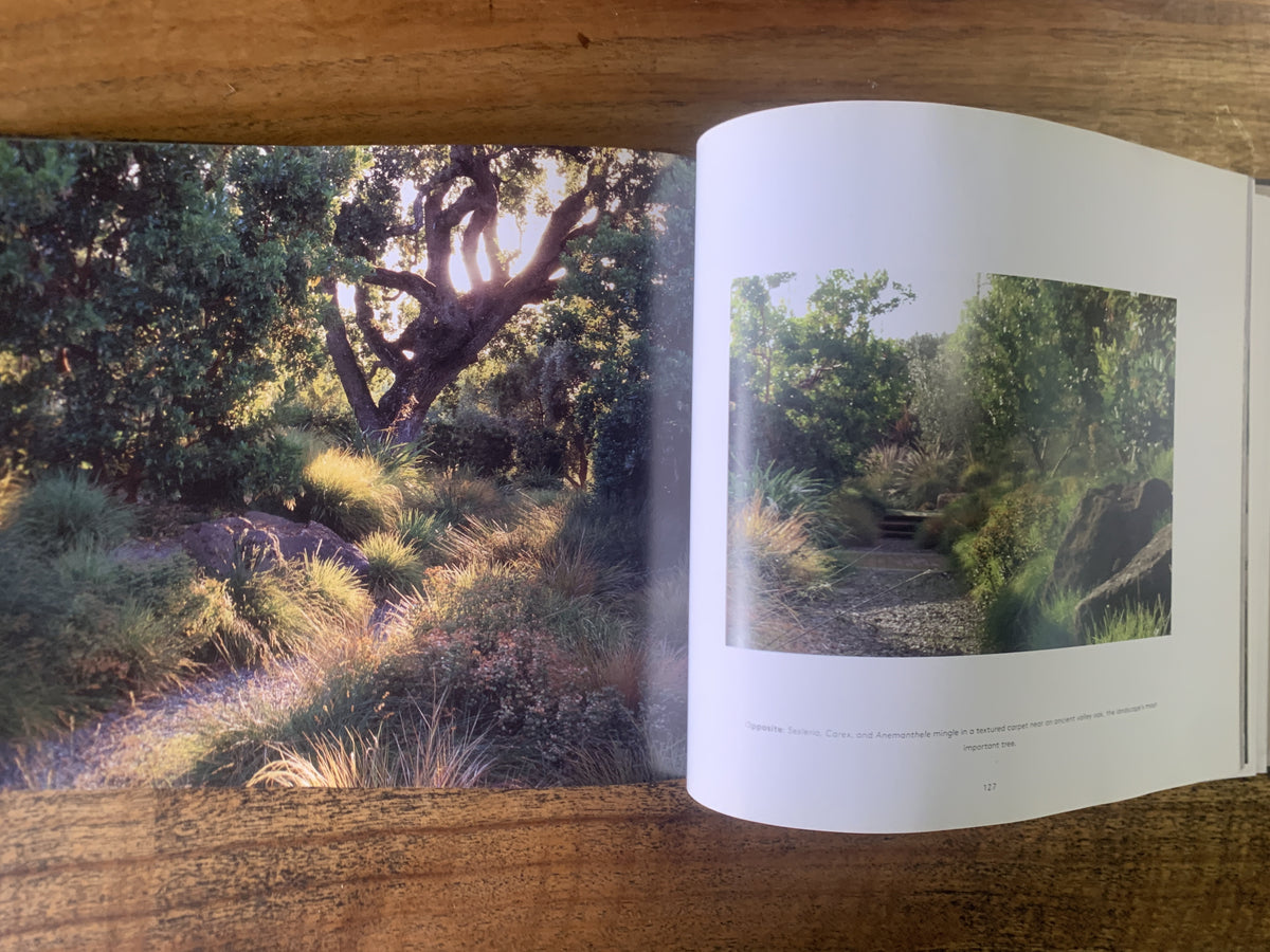 Landprints; The Landscape Design of Bernard Trainor — Heeger, Susan