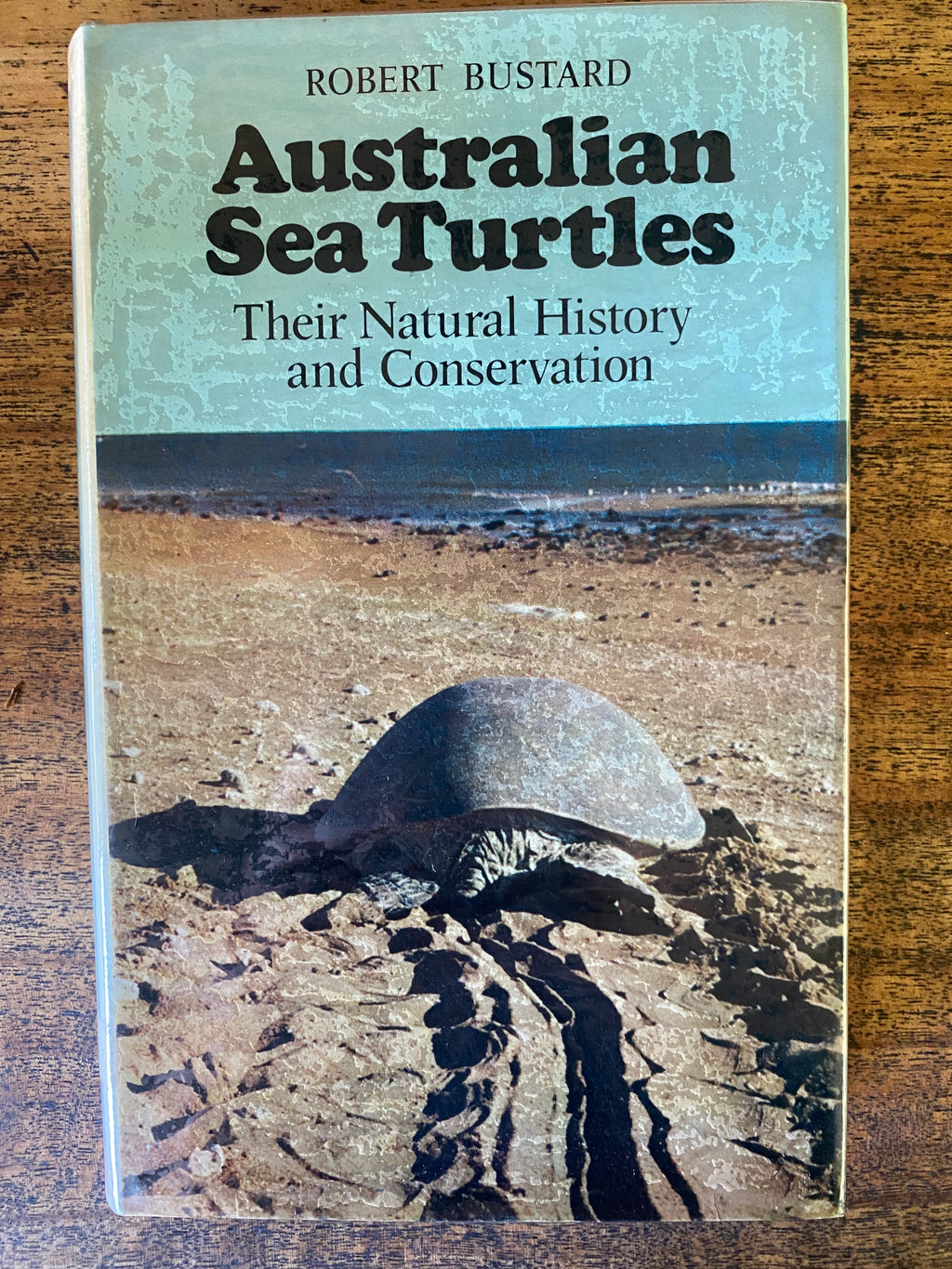 Australian Sea Turtles: Their Natural History and Conservation — Bustard, Robert